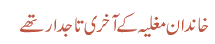 خاندان مغلیہ کے آخری تاجدار تھے