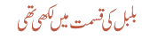 بلبل کی قسمت میں لکھی تھی