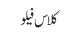 کلاس فیلو