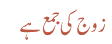 زوج کی جمع ہے