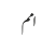 امم