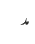 مد