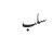 سلب