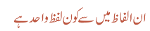ان الفاظ میں سے کون لفظ واحد ہے