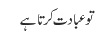 تو عبادت کرتا ہے