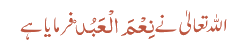 اللہ تعالیٰ نےنِعْمَ الْعَبُدْ فرمایا ہے