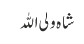 شاہ ولی اللہ