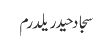سجاد حیدر یلدرم