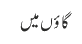 گاؤں میں