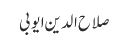 صلاح الدین ایوبی