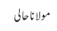 مولانا حالی