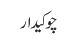 چوکیدار