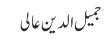 جمیل الدین عالی