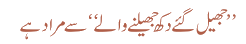 جھیل گئے دکھ جھیلنے والے سے مراد ہے