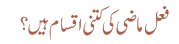 فعل ماضی کی کتنی اقسام ہیں؟
