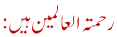 رحمتہ العا لمین ہیں: