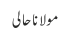 مولانا حالی