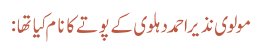 مولوی نذیر احمد دہلوی کے پوتے کا نام کیا تھا:
