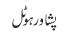 پشاور ہوٹل