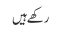 رکھے ہیں